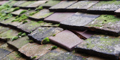 Oakamoor roof repair costs